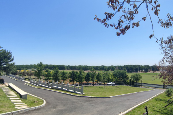 在沈阳陵园选择葬法时，需要考虑哪些因素？