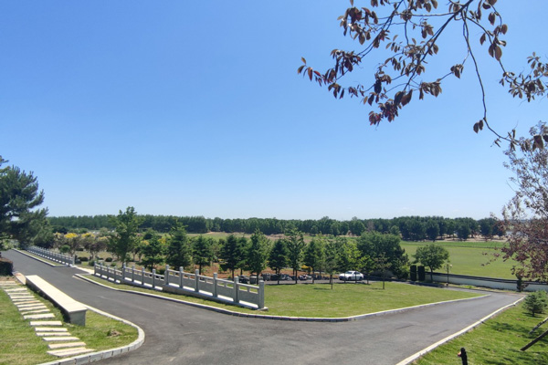 家属如何前往沈阳龙生墓园?有哪些推荐的交通方式? 家属如何前往沈阳龙生墓园?有哪些推荐的交通方式?