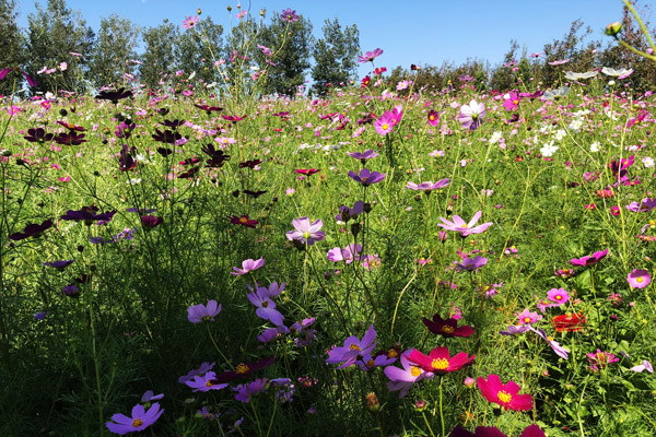 沈阳墓园殡葬活动全程需要多长时间？详细解析