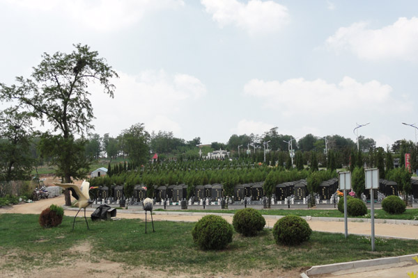 沈阳陵园有哪些常见的绿化植被? 沈阳陵园有哪些常见的绿化植被?