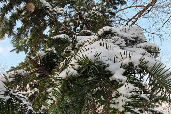 沈阳墓园选风水好的龙生墓园,车接车送,特价墓地! 沈阳墓园选风水好的龙生墓园,车接车送,特价墓地!