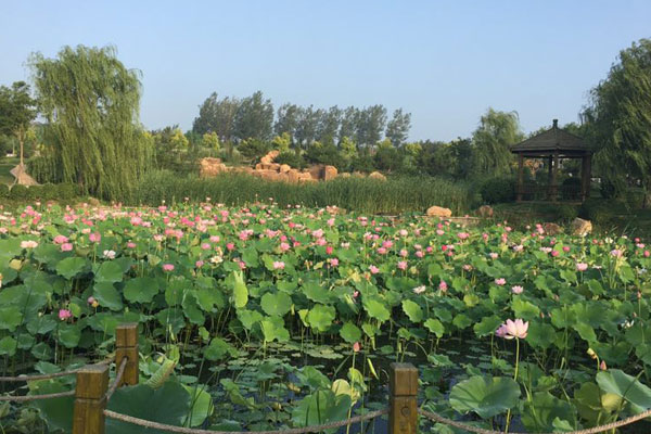 沈阳墓园的花坛葬服务有何特色，如何为家属提供一个温馨的缅怀场所？