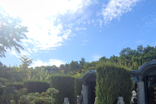 沈阳传统墓与艺术墓在价格上存在差异的原因是什么？