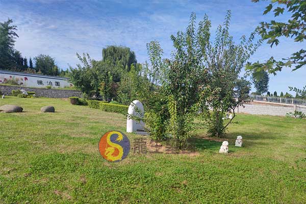 沈阳龙生墓园尽享山水之美，宁静守护的圣地