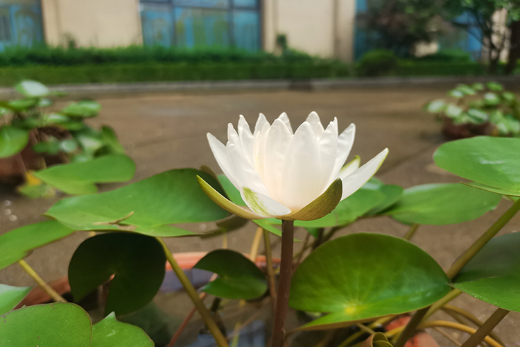 如何获取沈阳龙生墓地联系方式：多种途径，便捷查询