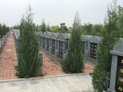 龙生墓园开发经济适用墓地，价位照比普通墓位便宜2/3