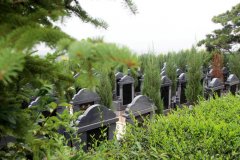 龙生墓地清明节期间参加扫墓的朋友要注意什么