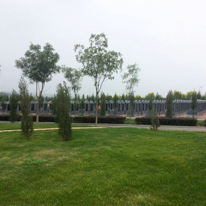 龙生墓地,沈阳龙生墓地,沈阳墓地