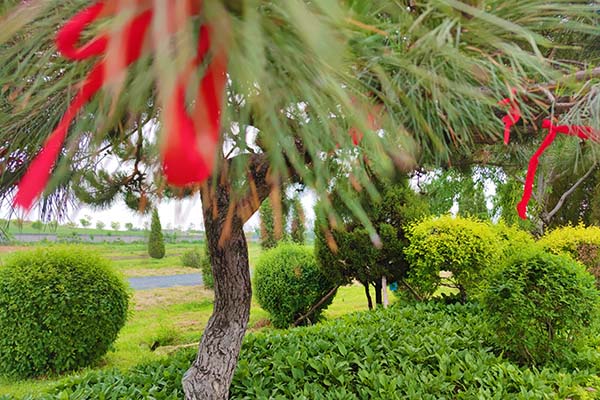 本命年去沈阳公墓参加葬礼好吗?