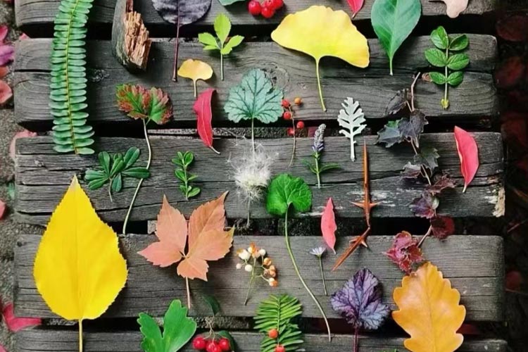 辽宁公墓管理办法促进沈阳十佳墓园便民、惠民、利民，专业的一站式购墓服务！