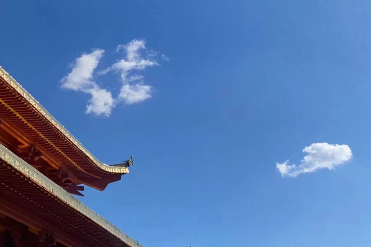 沈阳龙生墓园,花园式公墓,面向辽河真山真水,好墓园!