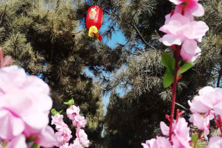 沈阳陵园花园式公墓应遵循的原则 沈阳陵园花园式公墓应遵循的原则