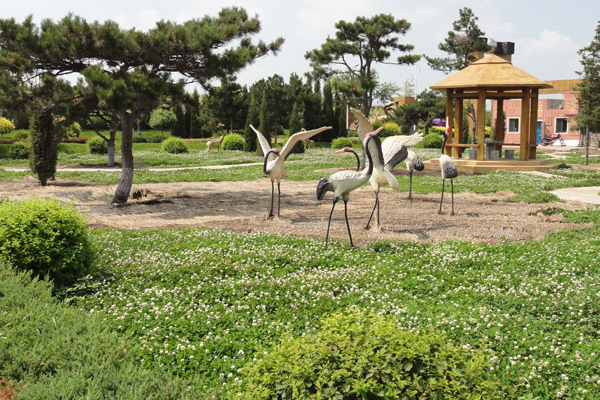 参加沈阳公墓葬礼胸前佩戴白花有什么意义？