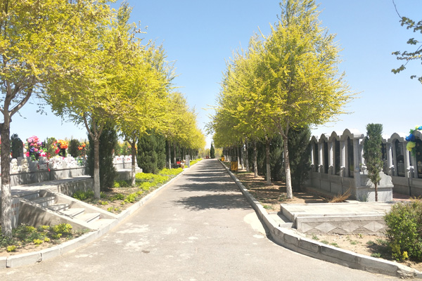 沈阳龙生墓园您尊贵的孝心下葬安葬黄道吉日如何选择？