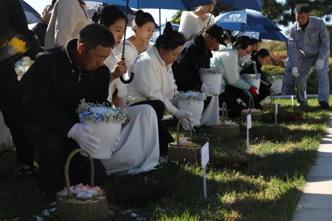 沈阳墓园绿色生命,沈阳陵园唯爱永恒|龙生墓园第四届节地生态草坪葬报名征集中