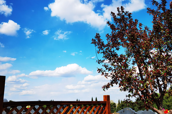 沈阳陵园价格影响因素深度解析！