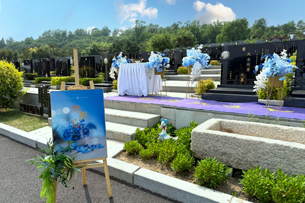 精致、温馨的场景布置