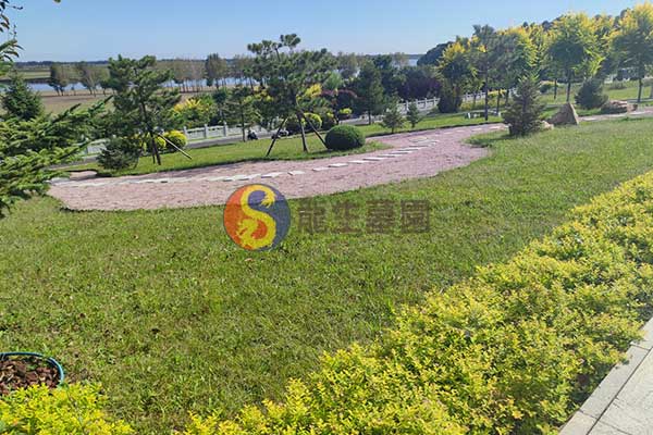 沈阳龙生墓园：沈阳墓地中的品质典范