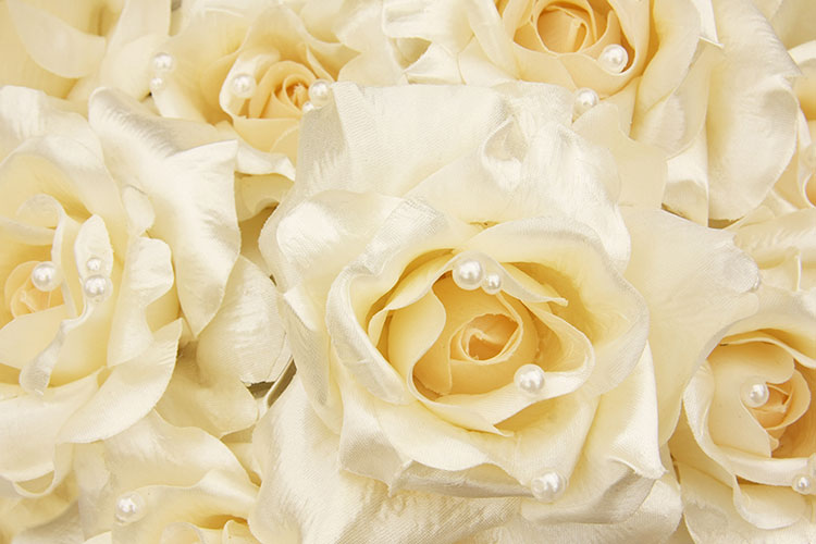 沈阳墓园白玫瑰 沈阳墓园白玫瑰