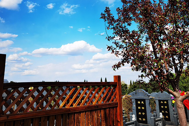 QQ图片20200503084355