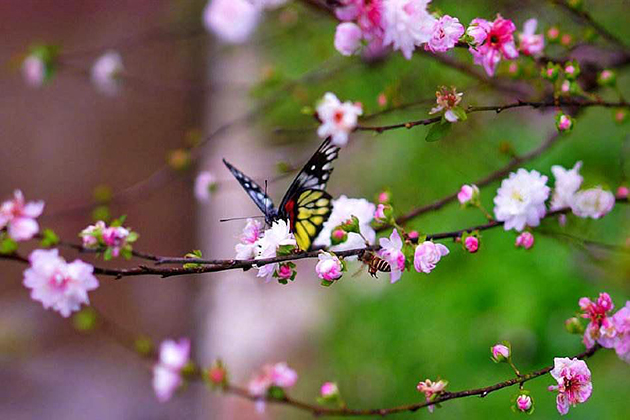  沈阳十佳墓园的殡葬文化学习