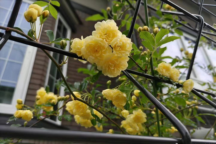 龙生墓园传统文化习俗之寿衣从死后装身宜忌看沈阳墓园文化