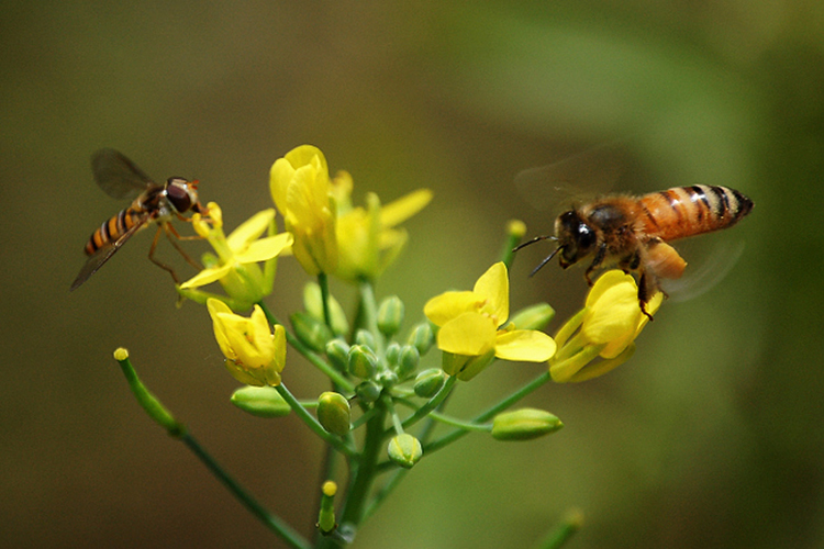 e5bec41ede2ce0d498b6abb7c0325555