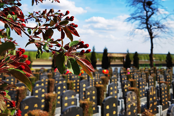沈阳十佳墓园的龙生墓园墓碑高端大气！
