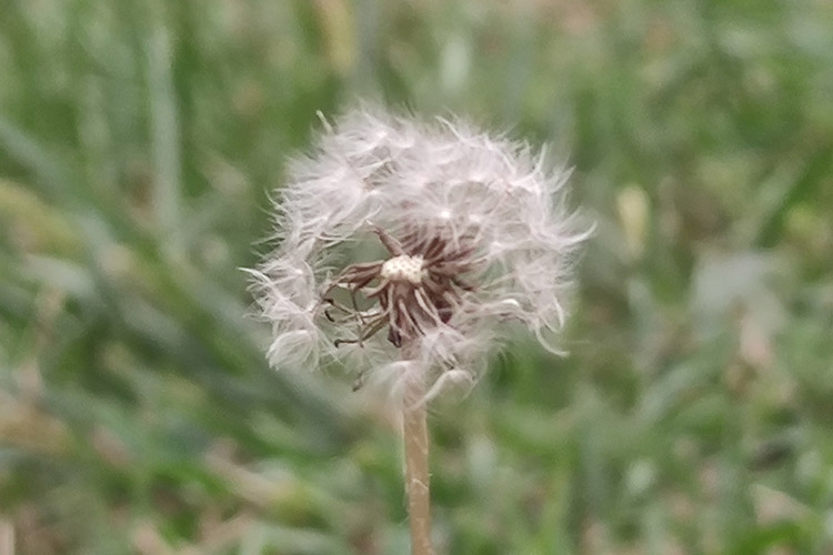 龙生墓园认识殡葬 龙生墓园认识殡葬