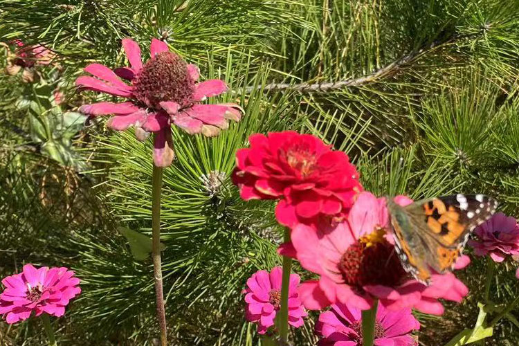 沈阳十佳墓园殡葬事业发展报告