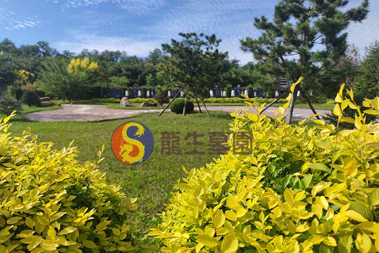 沈阳龙生墓园